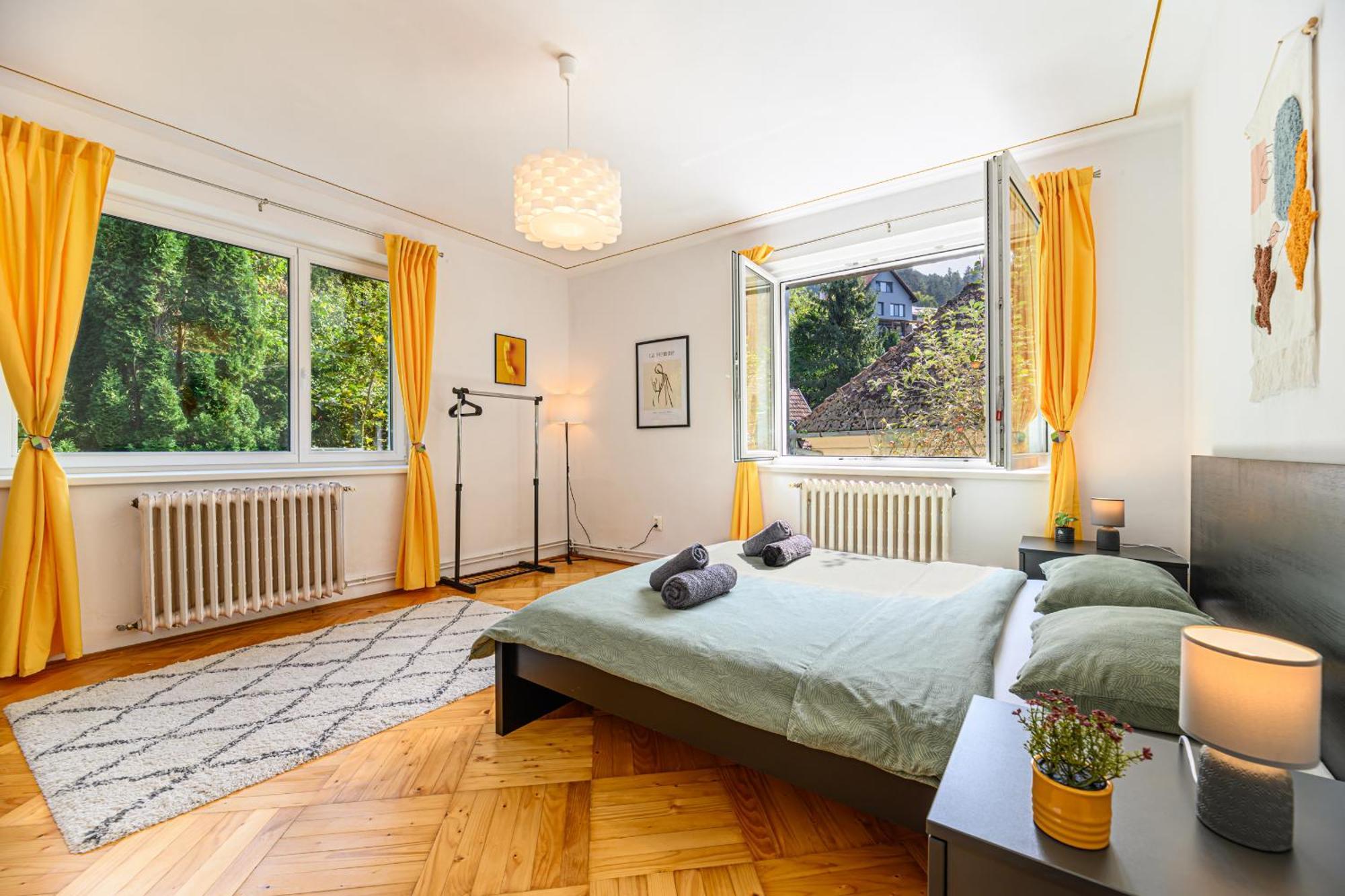 C Alex Apartment Brasov Ngoại thất bức ảnh